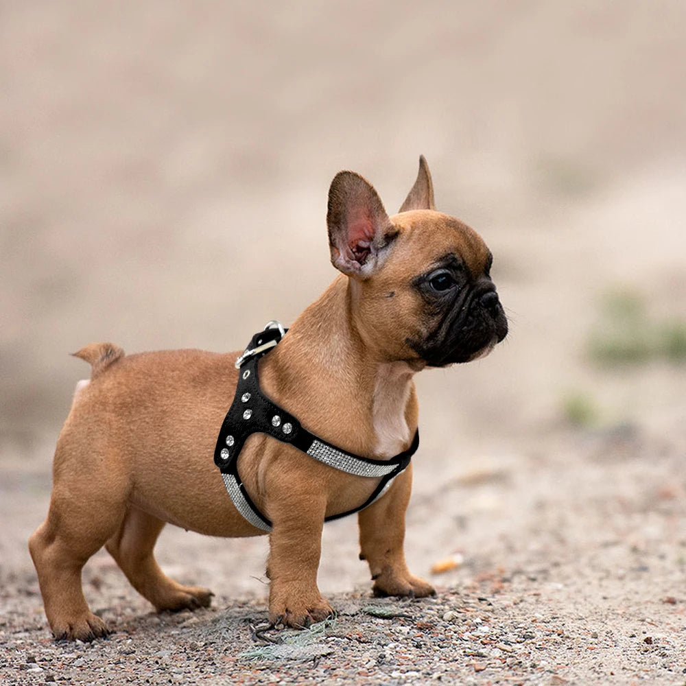 Rhinestone Harness Bling Suede Leather Puppy