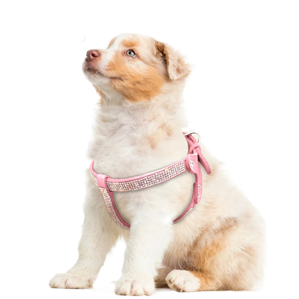 Rhinestone Harness Bling Suede Leather Puppy