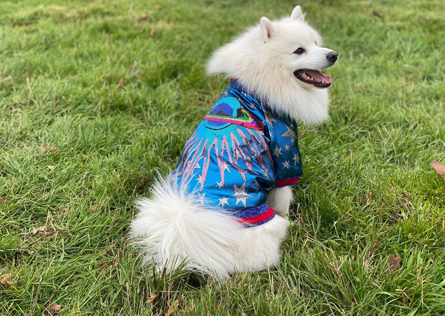 SUPERSTAR Luxury Dog jacket