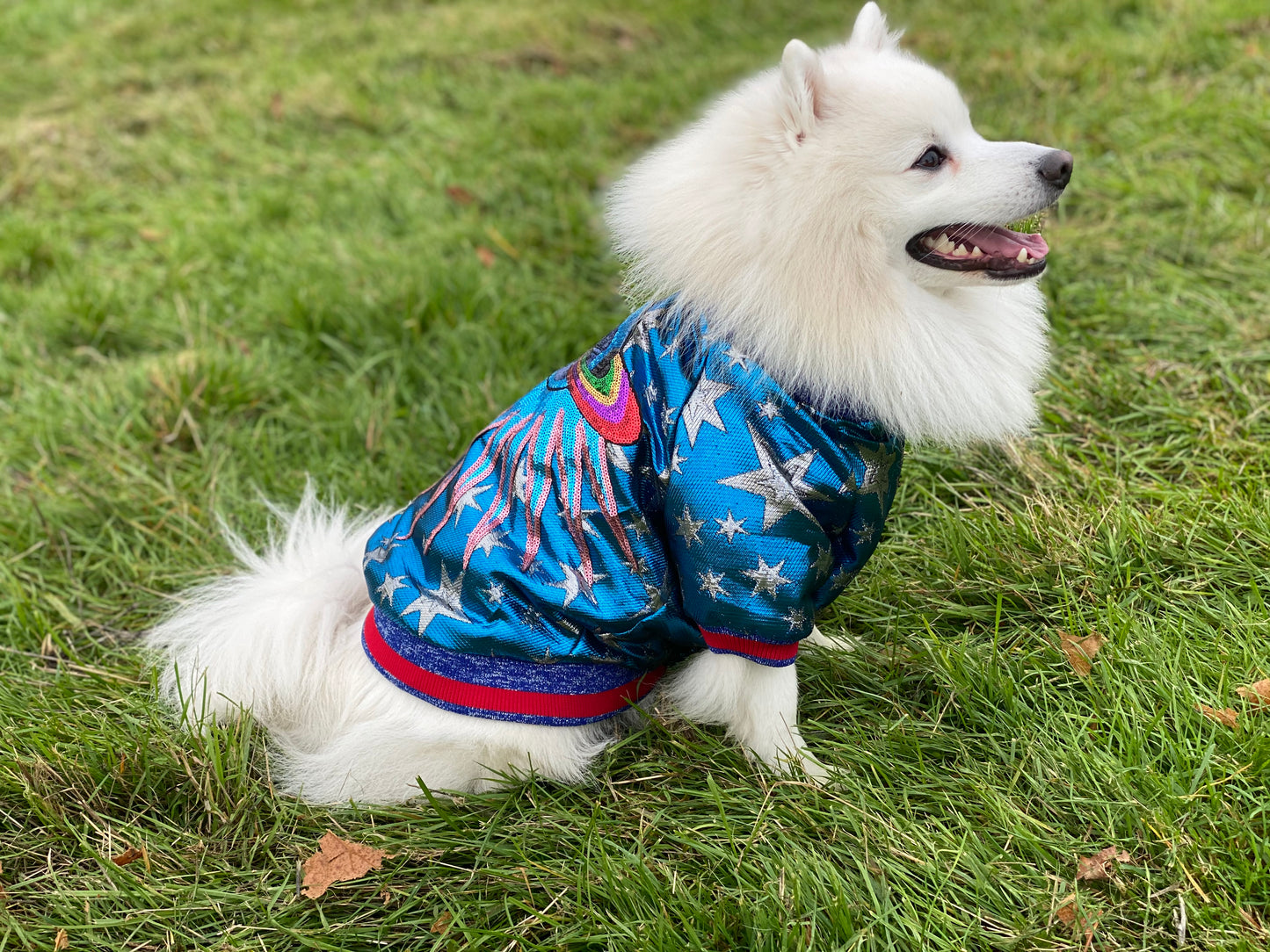 SUPERSTAR Luxury Dog jacket