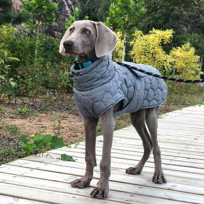 Snowsuit – Warm Jacket for Large Breeds