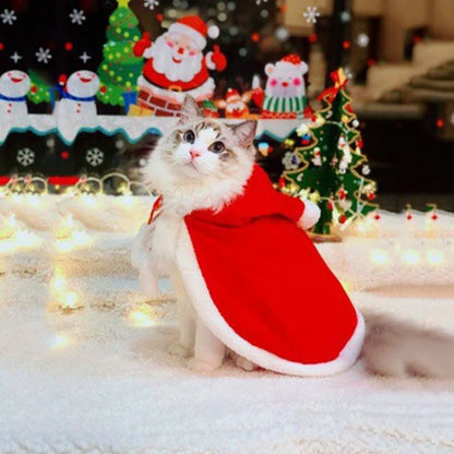 SantaPaws Costume – Festive Cape & Scarf for Pets