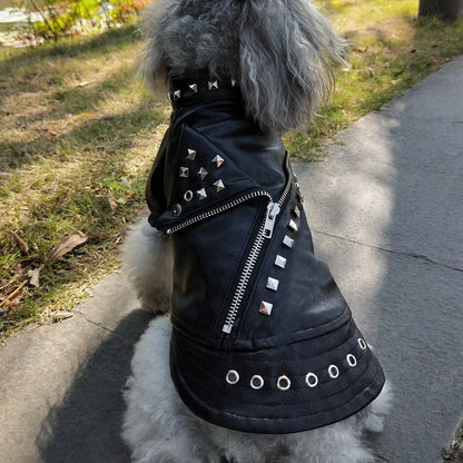 Rock&Roll Dog Jacket – Leather Coat for Small & Large Breeds