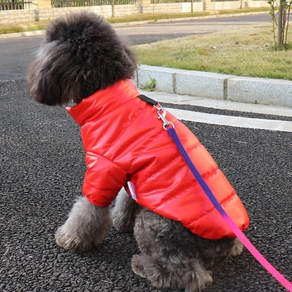 Rave winter Coat – Waterproof Puppy Jacket for Medium Dogs