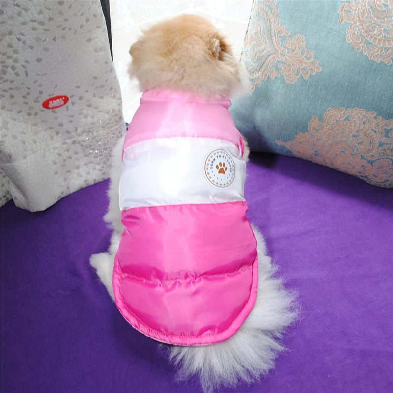 CozyPaws Winter Vest – Warm Coat for Small & Medium Dogs