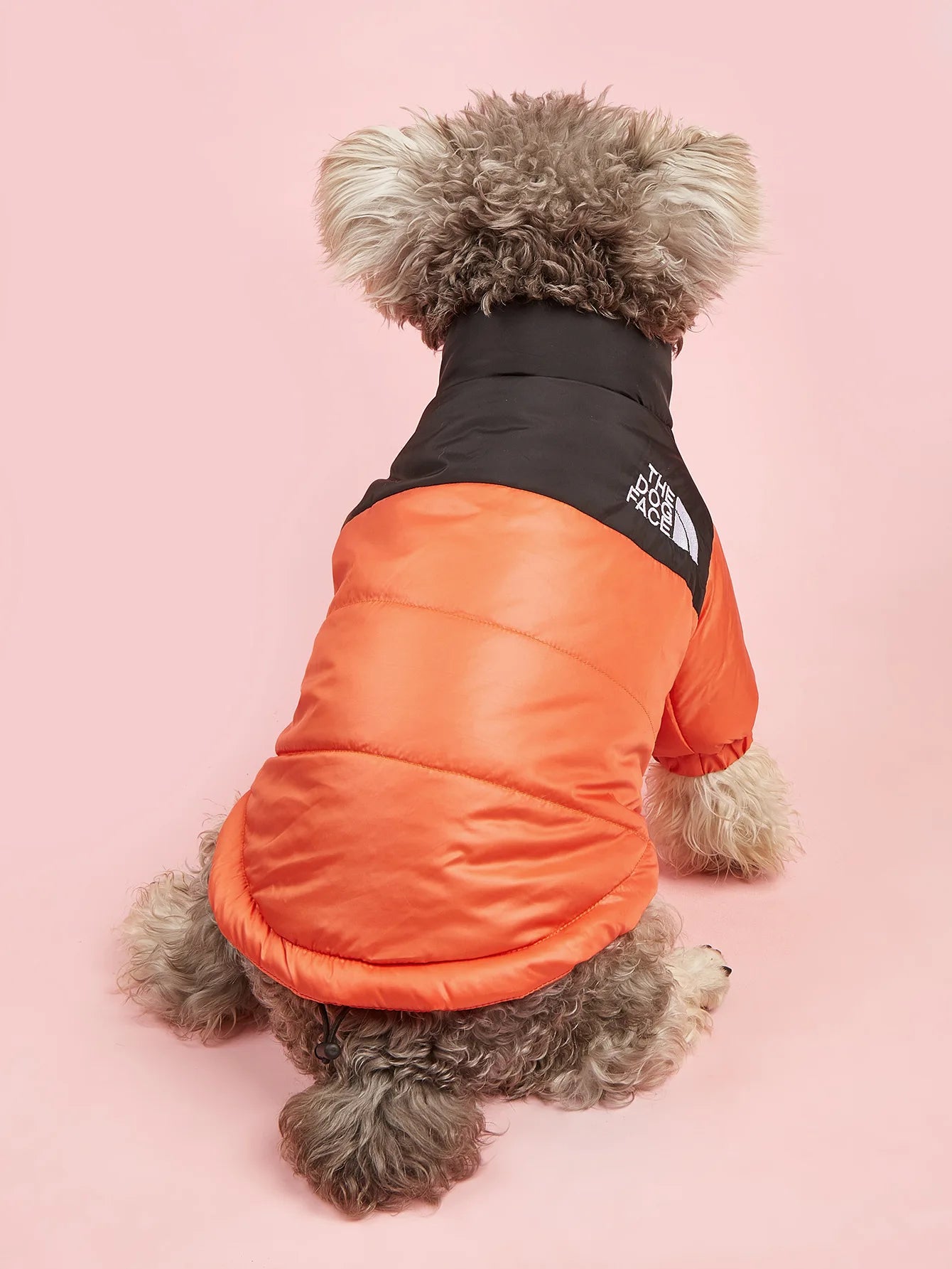 The Dog Face Jacket – Windproof Winter Wear