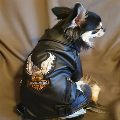 Harley Davidson Leather Jacket – Waterproof Fashion Coat for Small Pets