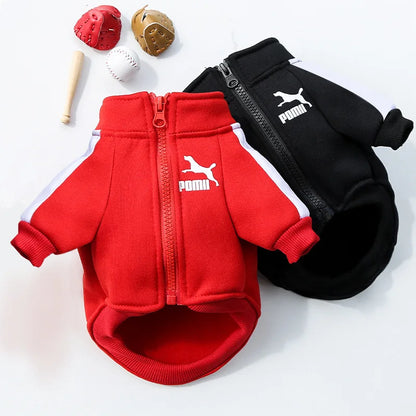 HomeRun Dog Jacket – Winter Baseball Coat for Small Breeds