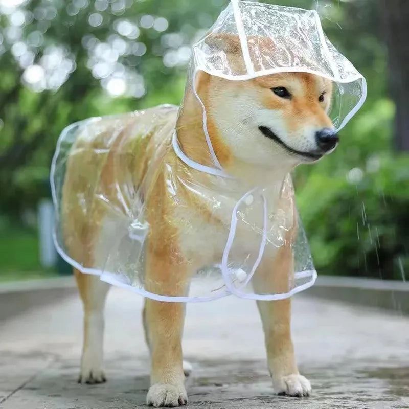 RainGuard Pet Jacket – Transparent Waterproof Coat for Small Dogs