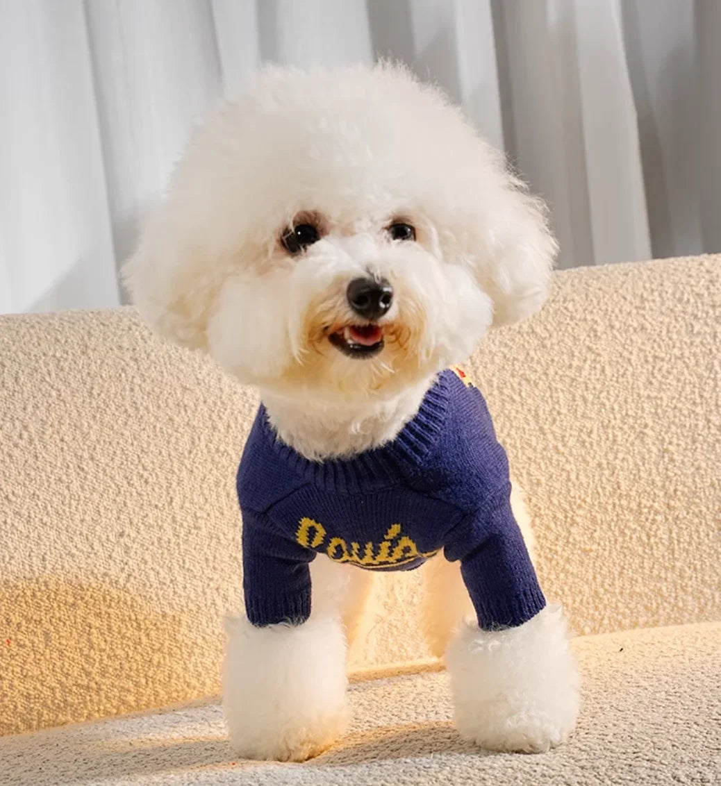 Chic Sweater Dog – Warm Designer Clothing for Pets