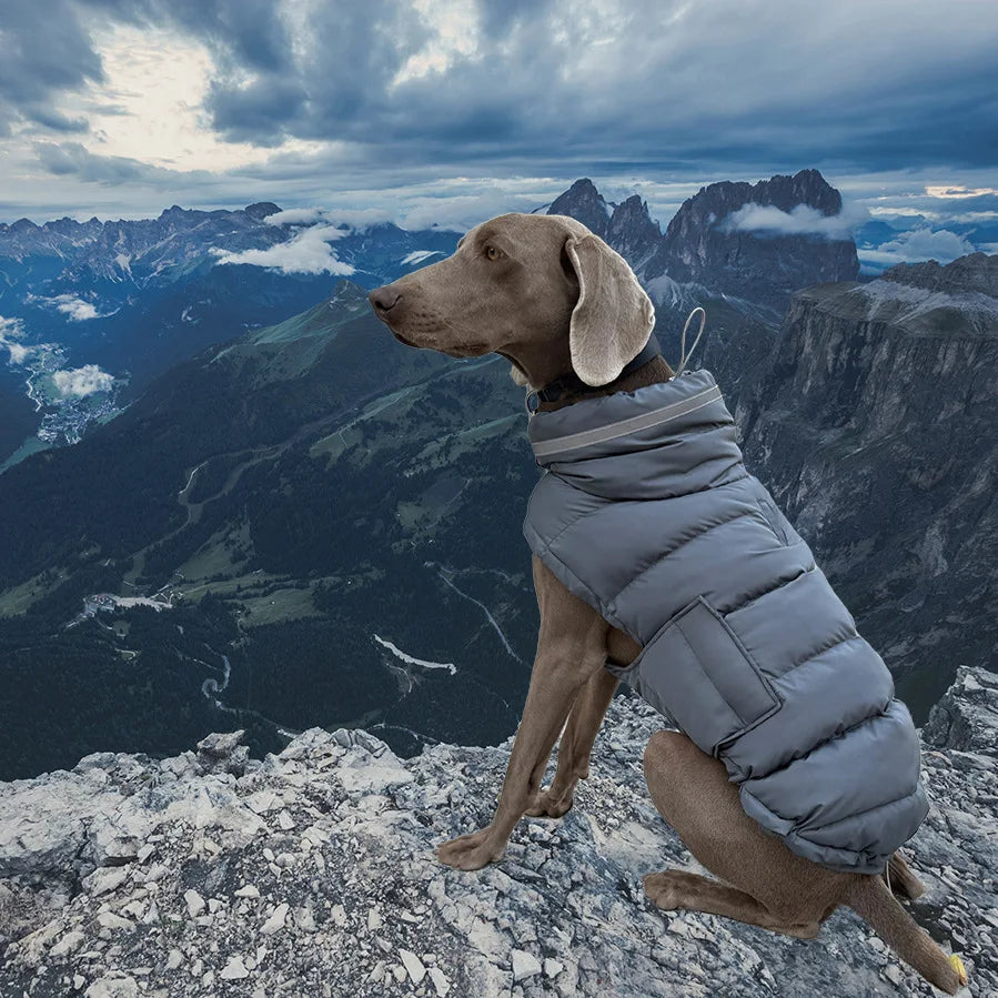 SnowGuard Dog Parka – Windproof & Waterproof Down Jacket for Large Dogs