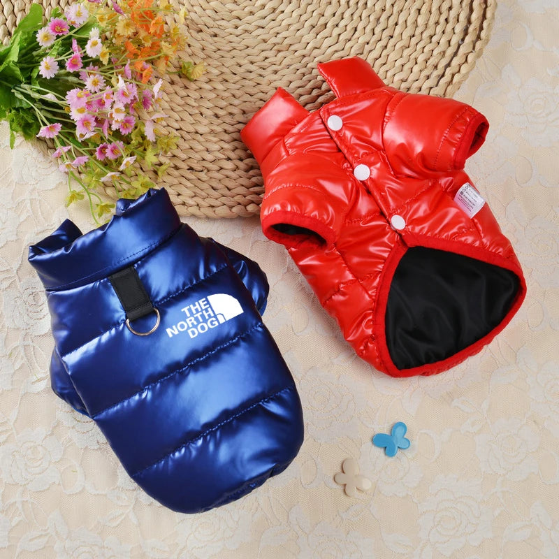 Rave winter Coat – Waterproof Puppy Jacket for Medium Dogs