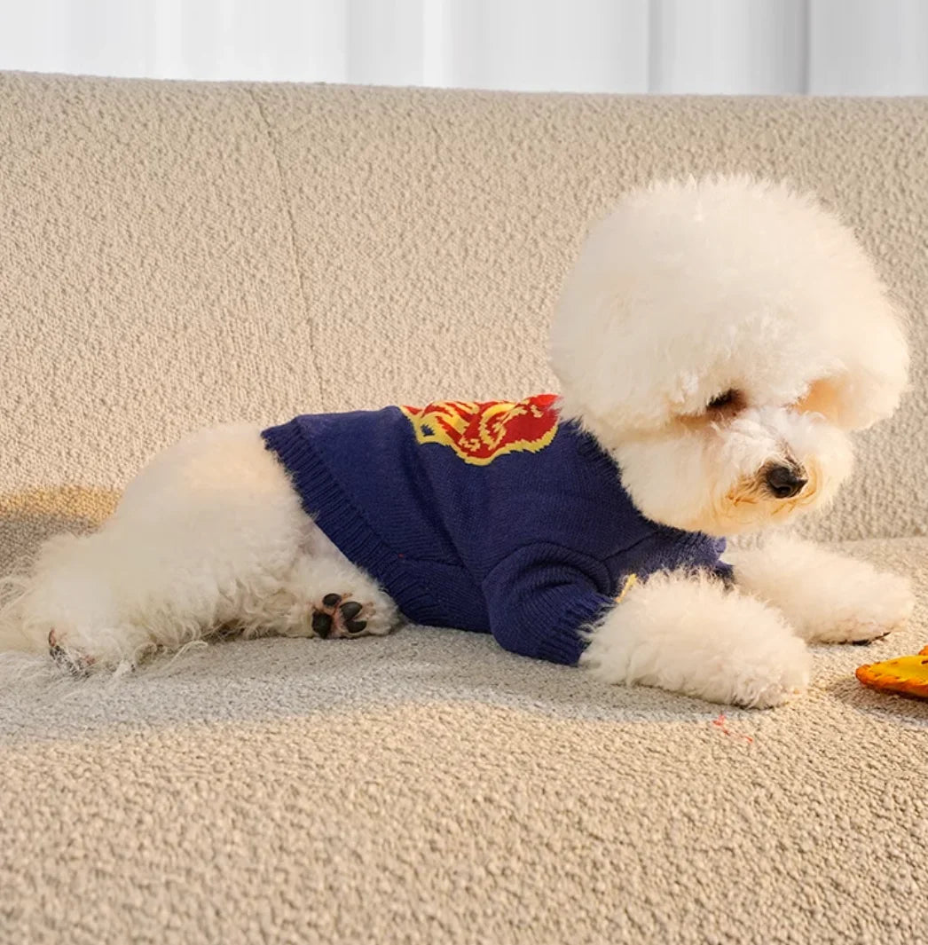 Chic Sweater Dog – Warm Designer Clothing for Pets