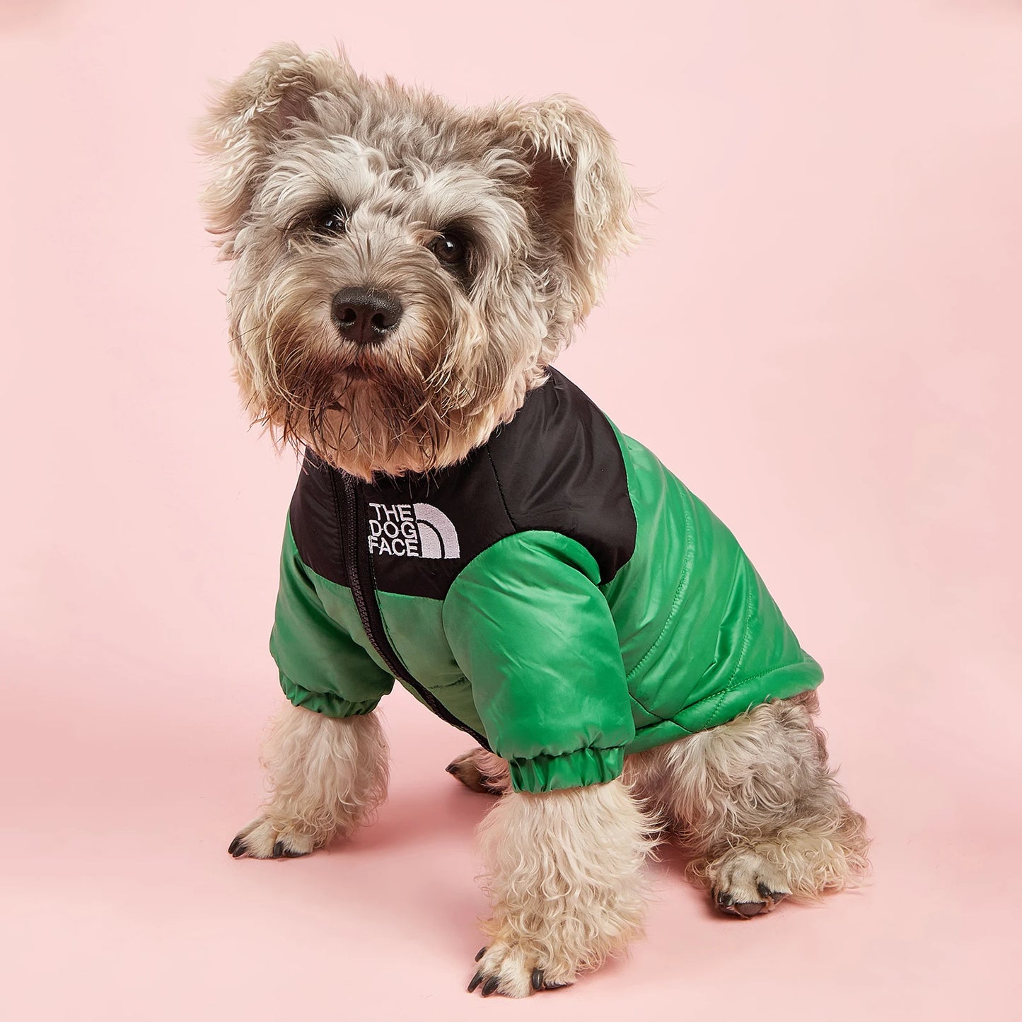 The Dog Face Jacket – Windproof Winter Wear