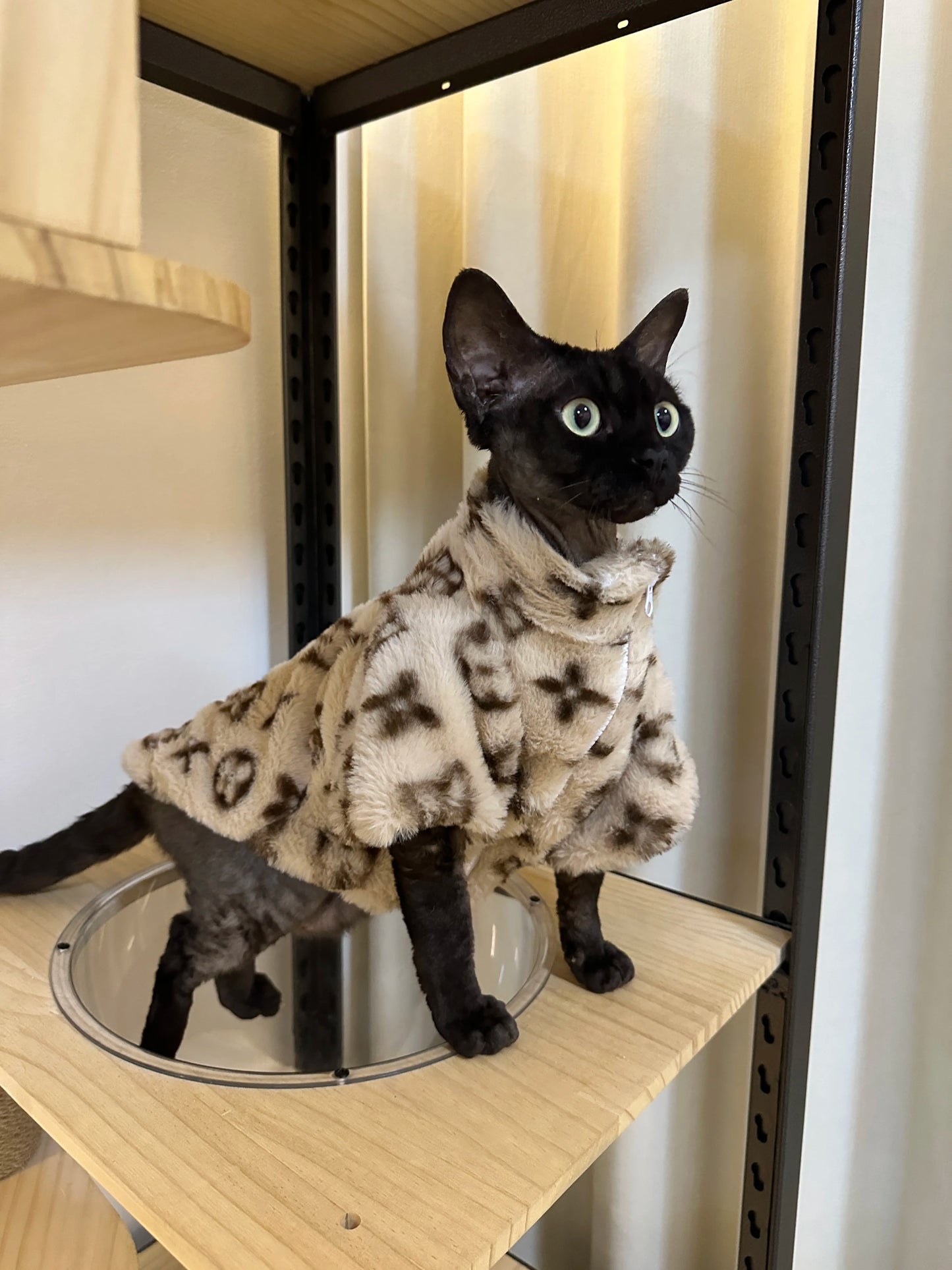 FurLuxe Winter Coat – Smoked Fur Jacket for Small & Medium Pets