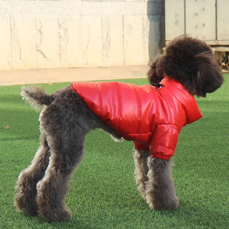 Rave winter Coat – Waterproof Puppy Jacket for Medium Dogs