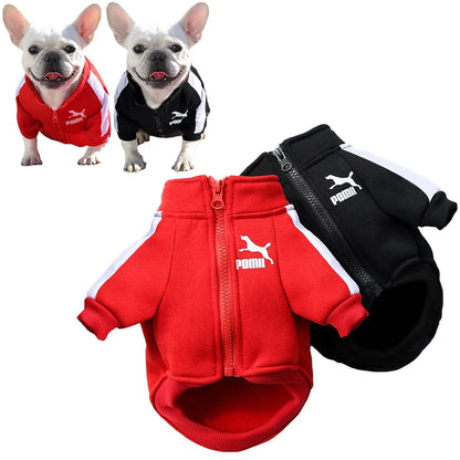 HomeRun Dog Jacket – Winter Baseball Coat for Small Breeds