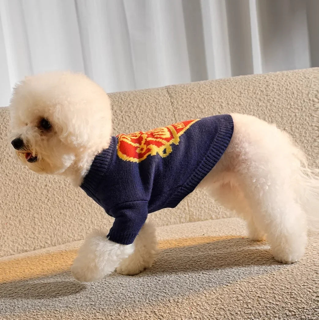 Chic Sweater Dog – Warm Designer Clothing for Pets