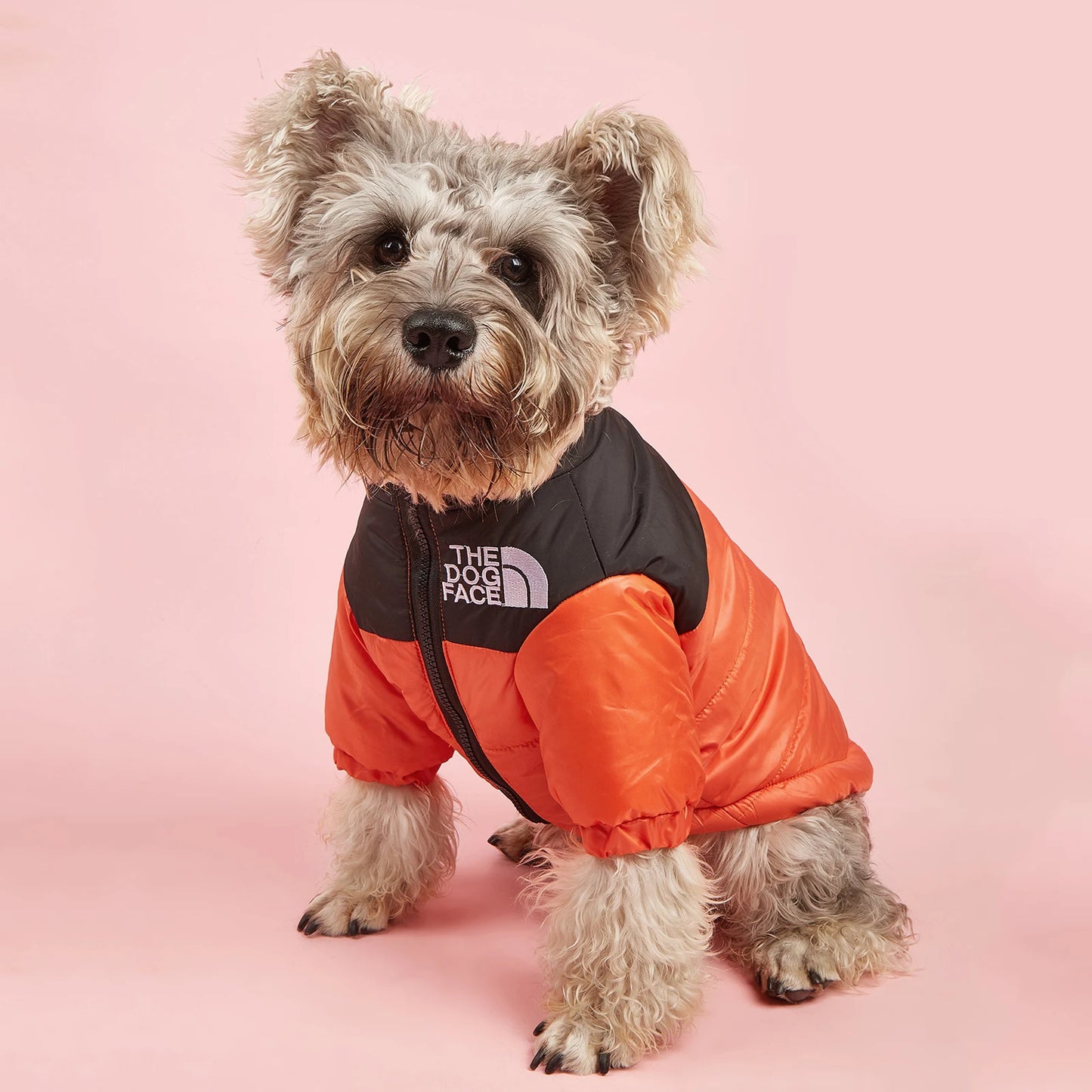 The Dog Face Jacket – Windproof Winter Wear