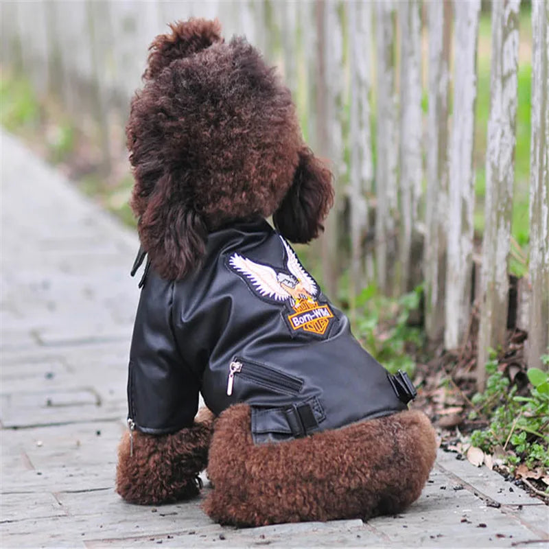 Harley Davidson Leather Jacket – Waterproof Fashion Coat for Small Pets