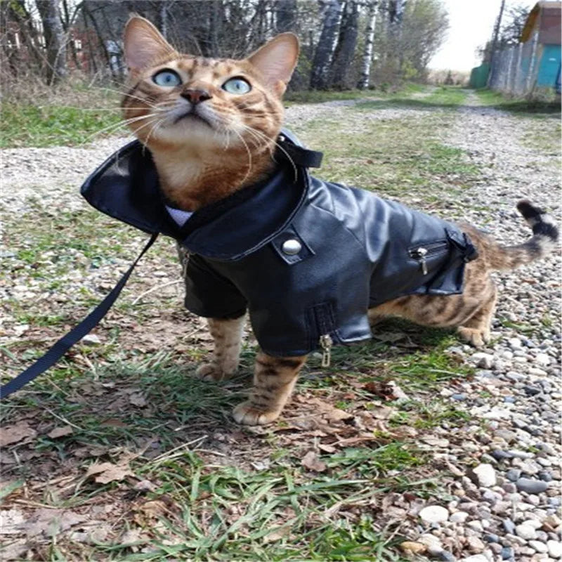 Harley Davidson Leather Jacket – Waterproof Fashion Coat for Small Pets