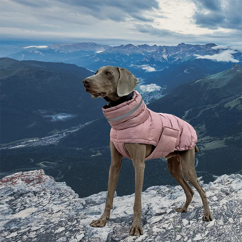 SnowGuard Dog Parka – Windproof & Waterproof Down Jacket for Large Dogs