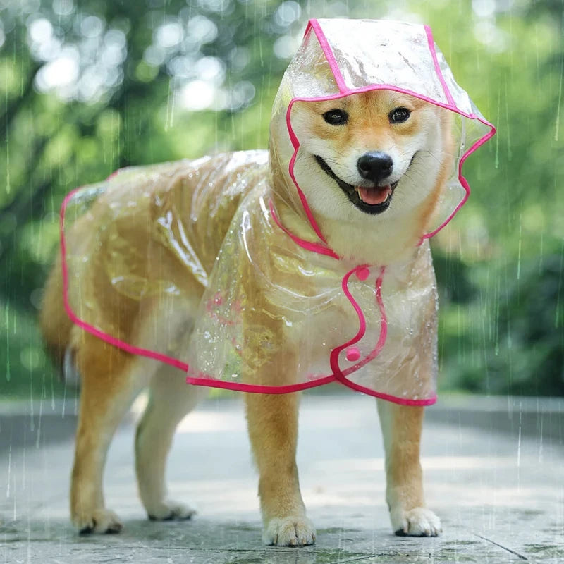 RainGuard Pet Jacket – Transparent Waterproof Coat for Small Dogs