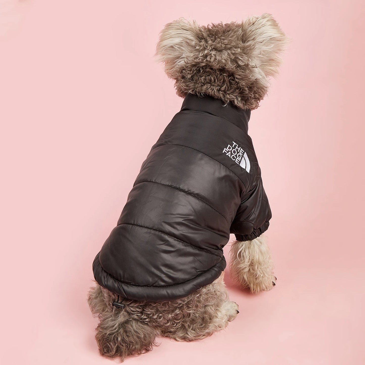 The Dog Face Jacket – Windproof Winter Wear