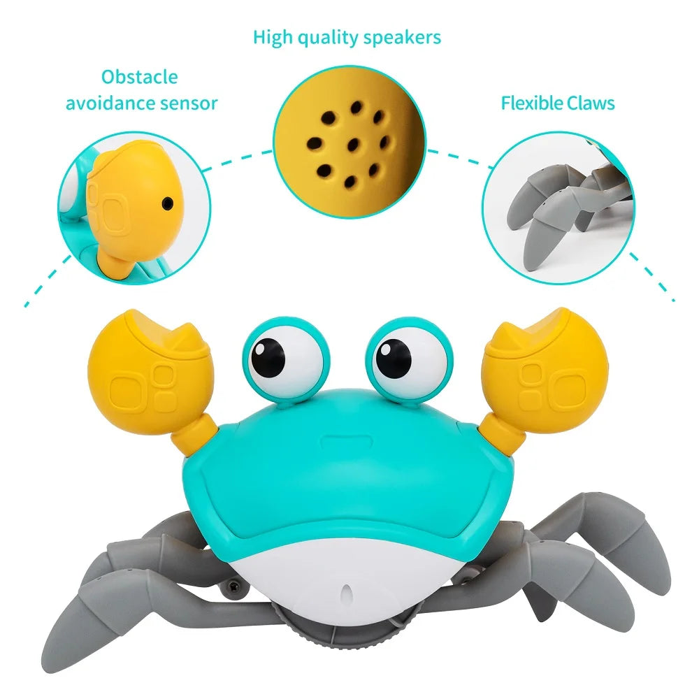 Crab Toy for pets