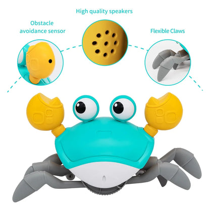 Crab Toy for pets