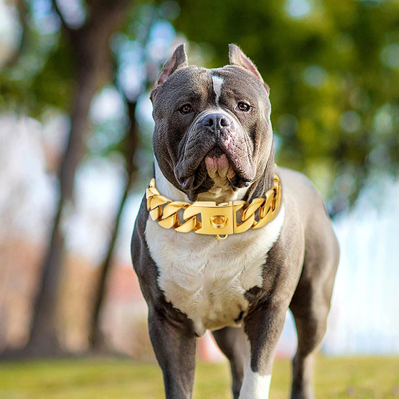 HipHop Choke Collar – Durable Metal Chain for Huge Dogs