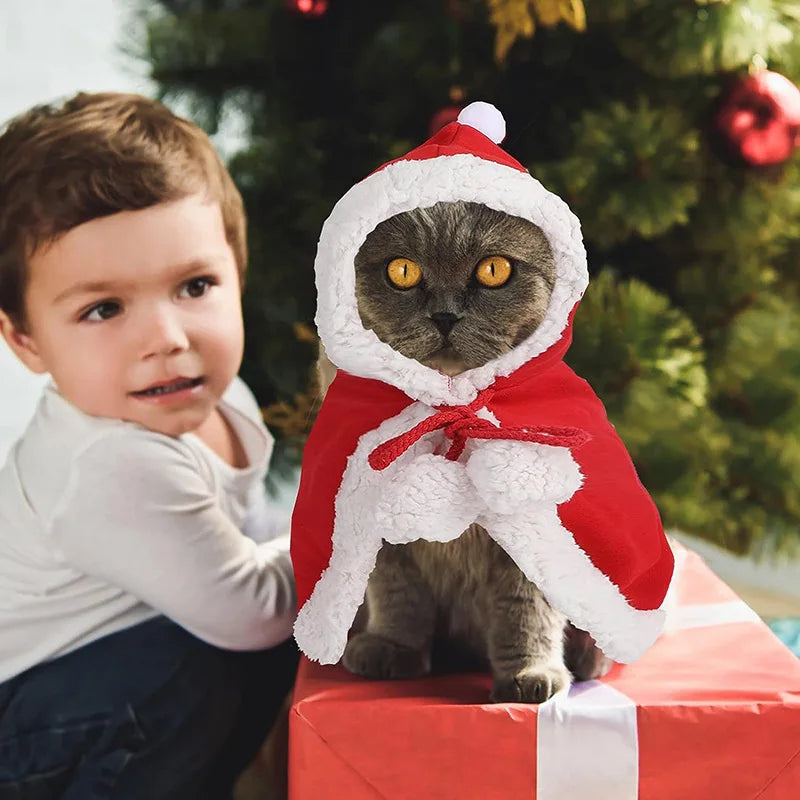 SantaPaws Costume – Festive Cape & Scarf for Pets