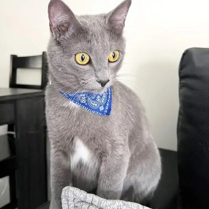 Stylish Bandana Cat – Adjustable Necktie Scarf for Pets