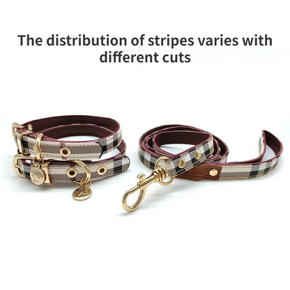 PawLuxe Leather Set – Stylish Collar & Leash for Medium & Large Dogs